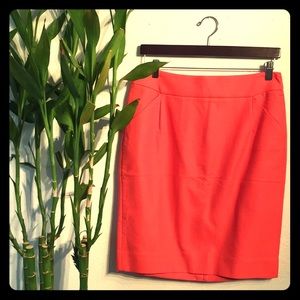 J. Crew Skirt